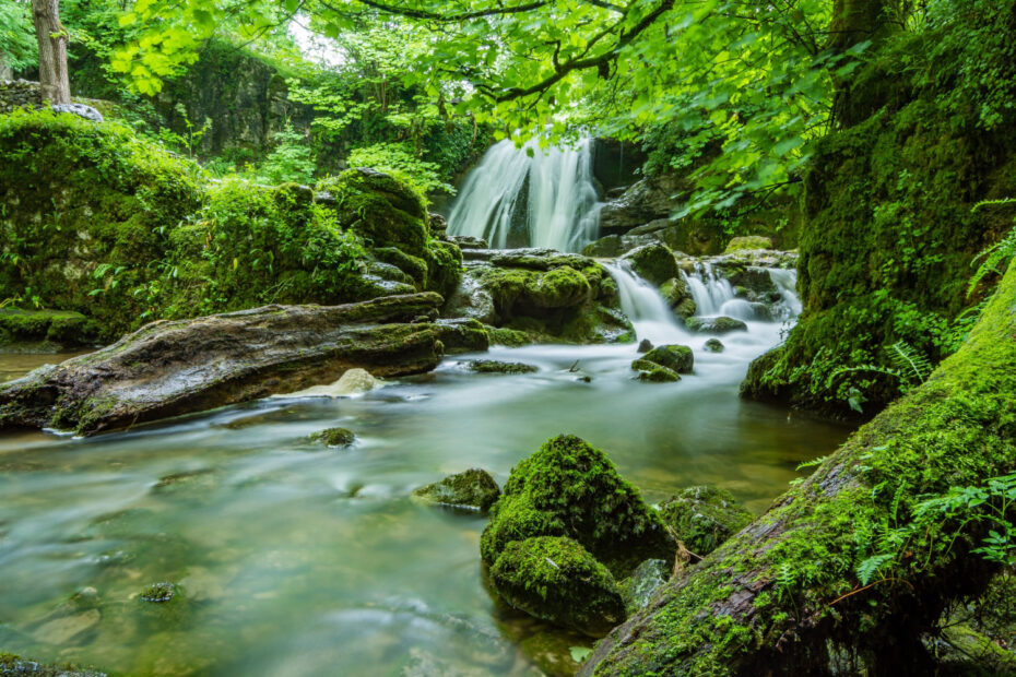 Fuentes de agua pura